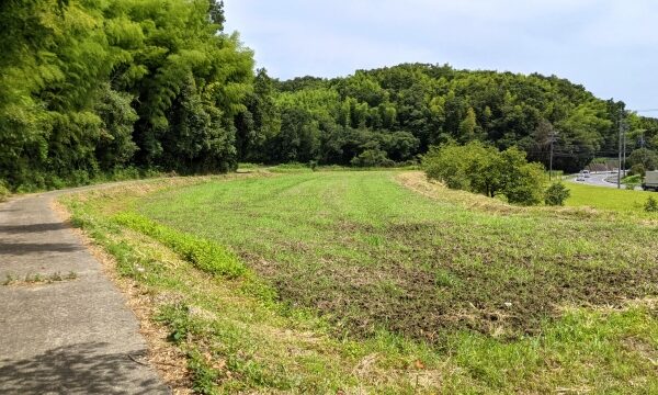 「いらない土地を国に返せる？」相続土地国庫帰属法の新設